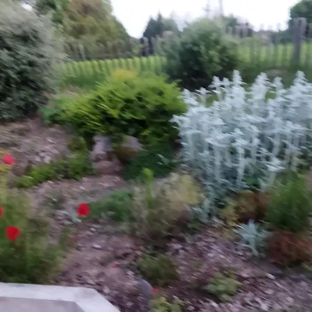 Dans Un Ecrin De Verdure Homestay Dommartin (Rhone)